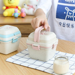 lunch box with spoon
