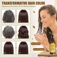 Japanese Long Lasting Natural Hair Dye Shampoo ( Buy 1 Get 1 Free )
