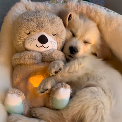 BreathNest™ Calming Otter