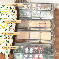 Foldable Shoes Storage Box
