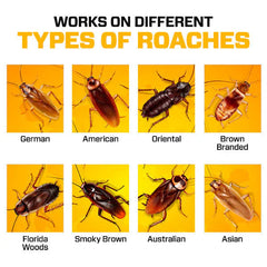 InstaKill™ - Cockroach Killer Gel !