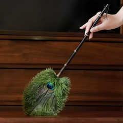 Peacock Feather Duster