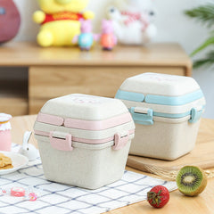 lunch box with spoon