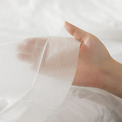Travel Disposable Bedsheet