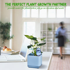 AquaBird Self Plant Waterer