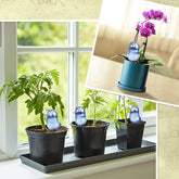 AquaBird Self Plant Waterer