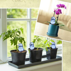 AquaBird Self Plant Waterer