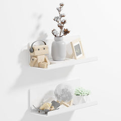 Wall Floating Shelve