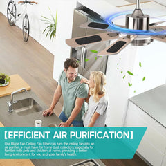 Ceiling Fan Dust Filter