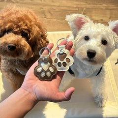 Pet Hair Paw Keychain