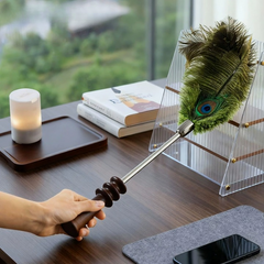 Peacock Feather Duster