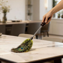 Peacock Feather Duster
