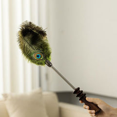 Peacock Feather Duster