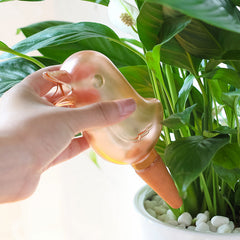 AquaBird Self Plant Waterer